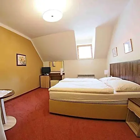 Hotel Koruna 3*