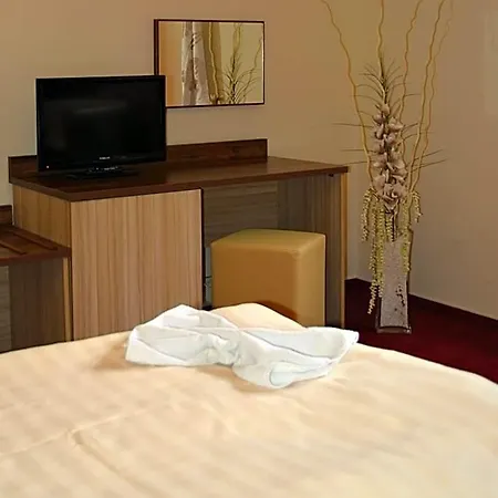 Hotel Koruna 3*